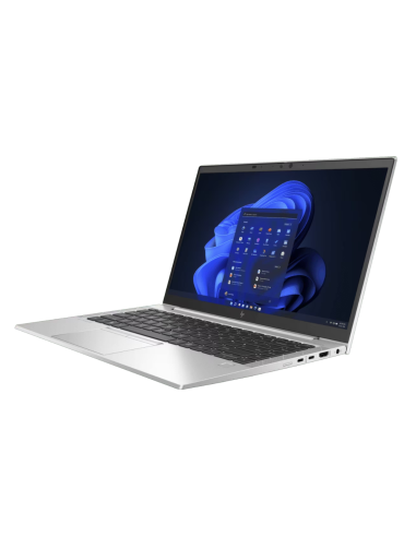 HP Probook 450 W11 Pro